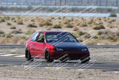 media/Oct-24-2025-Doghouse Garage (Fri) [[783d2ff07a]]/1-Advanced/Session 2 Turn 5 Tree of Life/